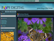 Tablet Screenshot of popsdigital.com